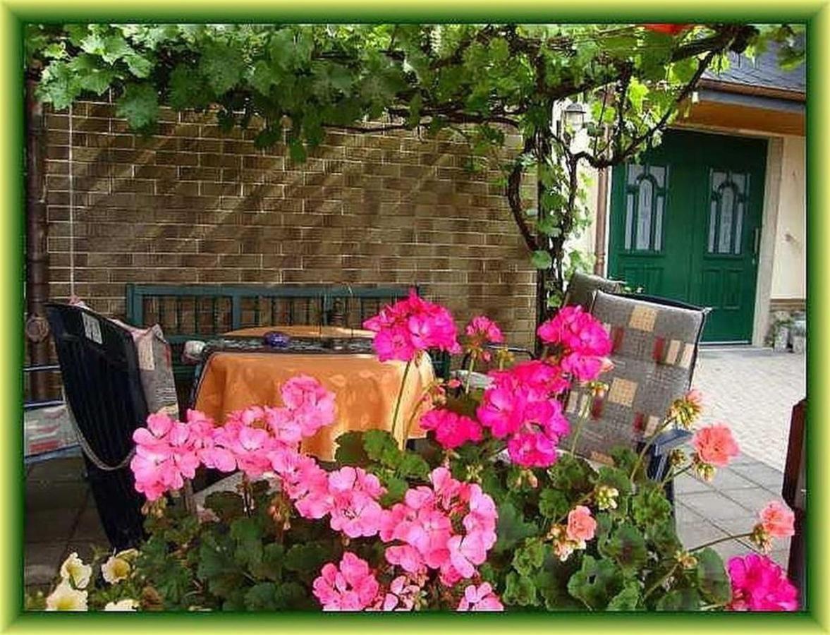 Apartment Eifelferienwohnungen 